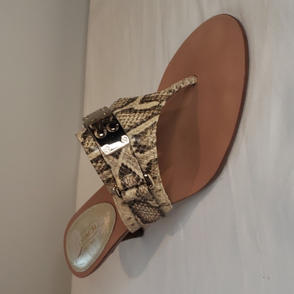 COACH Alberta Snakeskin Kitten Heel Thong Sandals - Picture 1 of 7